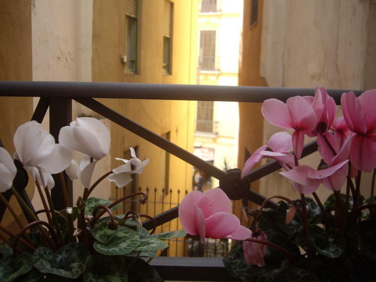 Apartamento Alcazaba Málaga Dış mekan fotoğraf